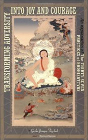 Cover of Transforming Adversity into Joy and Courage.