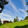 Blue sky and green meadow at Sravasti Abbey.