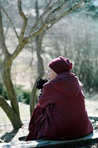 Venerable Chodron sitting outside, holding the cat Manjushri.