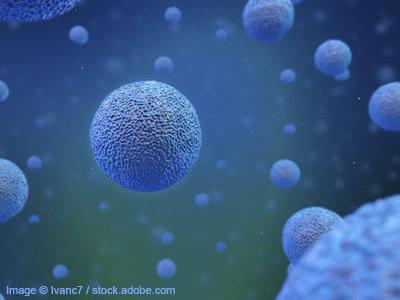Closeup image of a human cell.