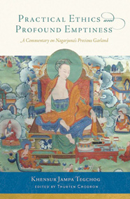 Cover of Practical Ethics and Profound Emptiness.