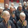 Rows of Buddhist nuns chanting with hands folded.