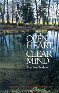 Cover of the book Open Heart, Clear Mind.