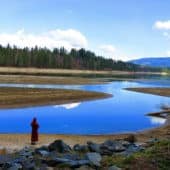 A nun stands by a lake with open meadow and trees.