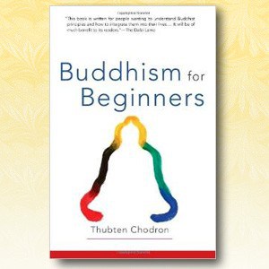 Cover of Buddhism for Beginners.