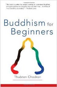Cover of Buddhism for Beginners.