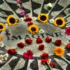 A peace sign made of flowers over the 'Imagine' John Lennon memorial in Central Park.