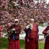 Four nuns with four Sravasti Abbey cats named after the four immeasurables.