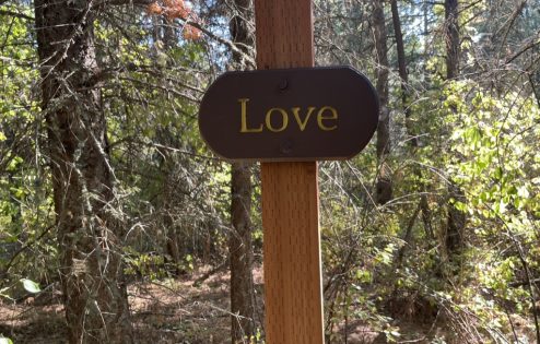 Sign in the forest that says love