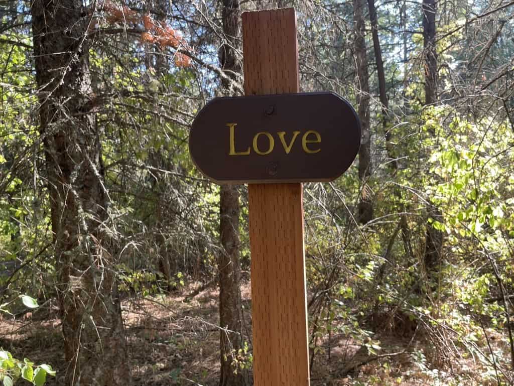 Sign in the forest that says love