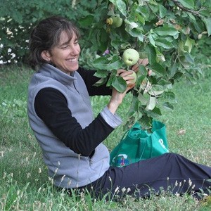 An Abbey guest, picking apples from a tree.