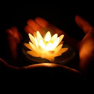 Hands holding an illuminated white lotus.