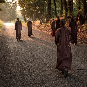 Sangha walking down a country road.