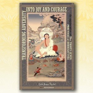 Cover of Transforming Adversity into Joy and Courage.