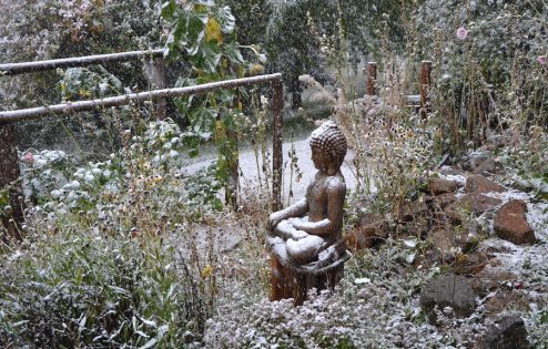 Den første sne frost falder på en Buddha-statue i haven midt i efterårets løv.