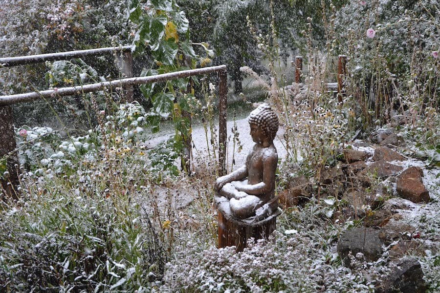 Pierwszy mróz śniegu spada na posąg Buddy w ogrodzie wśród jesiennych liści.