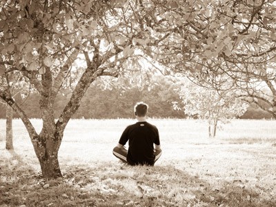 Een man die bemiddelt in een park, omringd door bomen en bladeren.