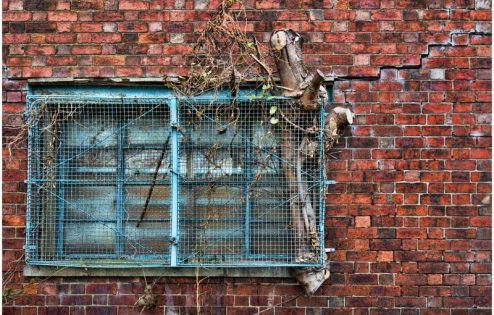 Bars on a window with dead tree inside against red bricks