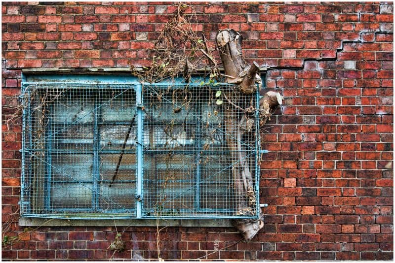 Bars on a window with dead tree inside against red bricks