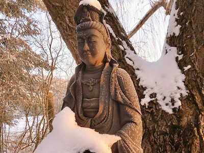 Stone statue of Kuan Yin under a tree covered in snow.