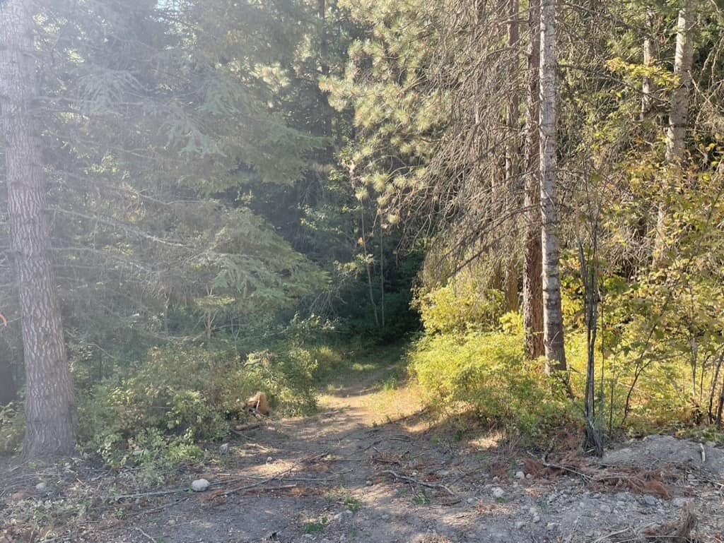 Path through trees
