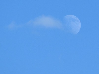 A small, puffy white cloud and moon in front of clear blue sky.