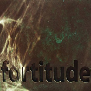 The words: fortitude in a grey and a bit green background.