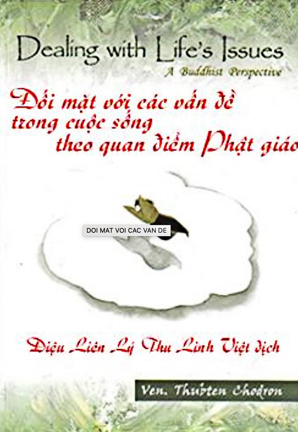 Cover of Vietnamese translation of "Dealing with Life's Issues"