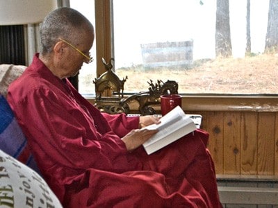 Venerable Chodron sitting near a window, reading a book.