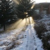Snow path with sun burst