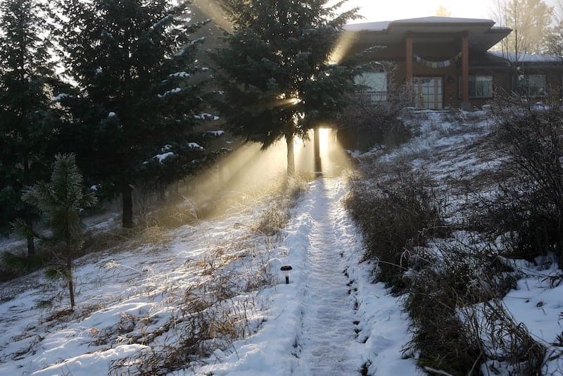 Snow path with sun burst