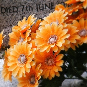 Orange flowers on a tomb.