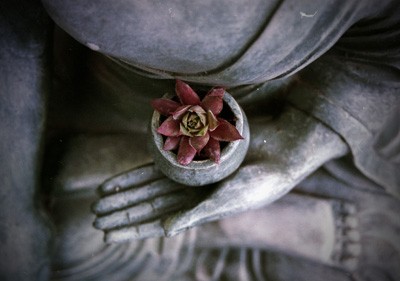 Buddha hand holding a bowl, with a flower inside.