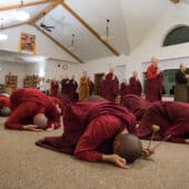 Tibetan buddhist monastics bowing and chanting.