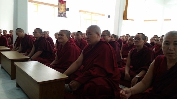 Tibetan nuns seated in a prayer hall.