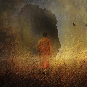 Buddha walking in a grassy field with his silhouette in the background.
