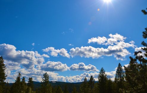 Velká modrá obloha s nadýchanými mraky nad hranicí stromů