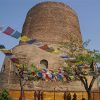 The Dhamek Stupa under clear blue sky with Tibetan prayer flags in front.
