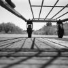A below view of shopping cart and the front wheels.