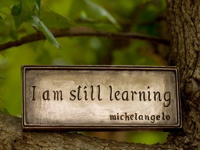 A plaque with the words: I am still learning-michelangelo, on a tree.