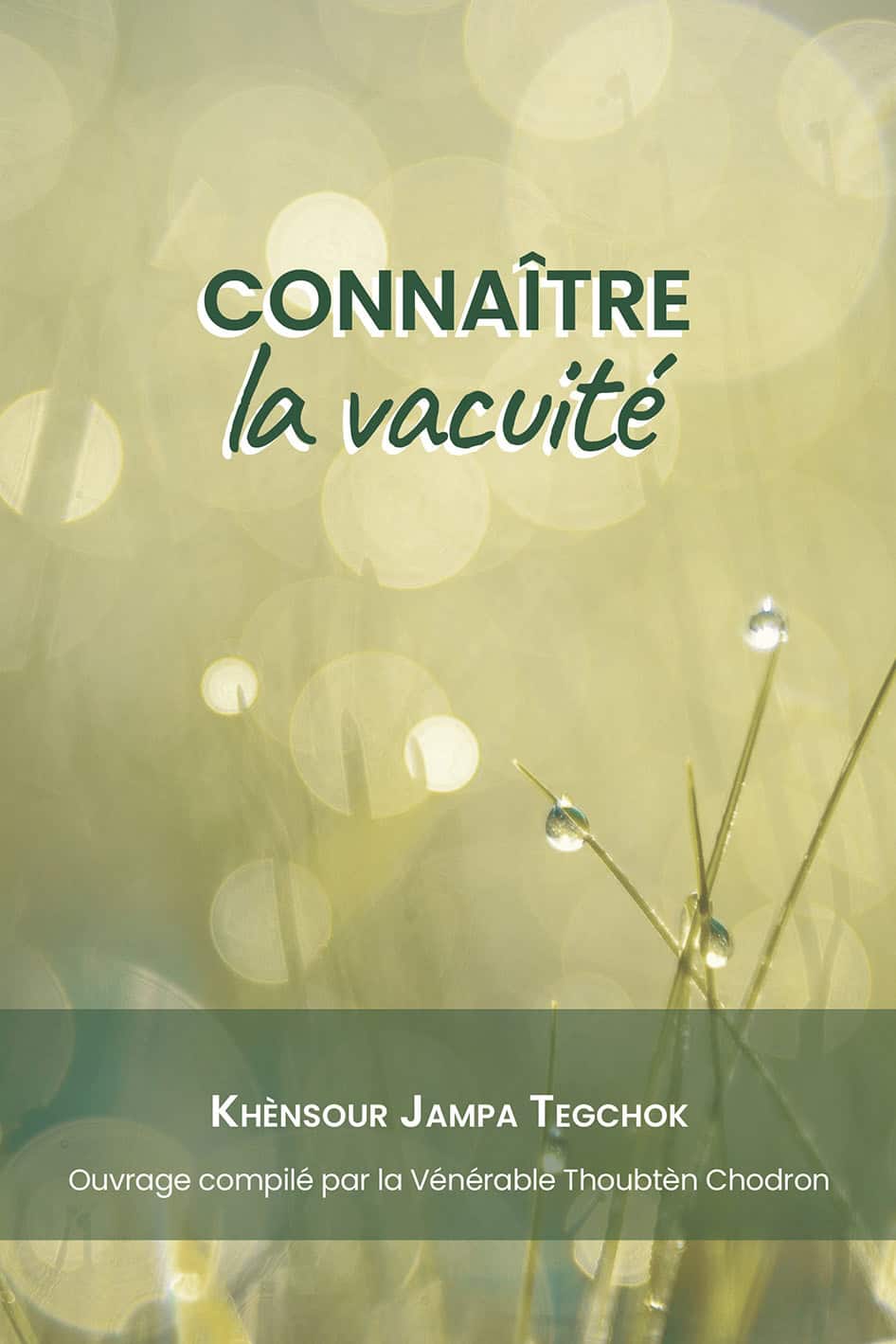 Cover of French translation of "Insight Into Emptiness"