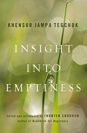 Cover of book 'Insight into Emptiness'.