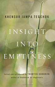 Cover of Insight into Emptiness.