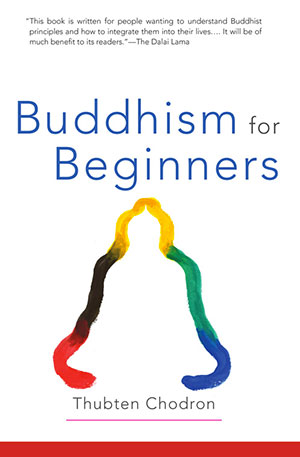 Cover of the book 'Buddhism for Beginners'.