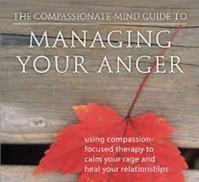 Cover of the book Managing Your Anger.