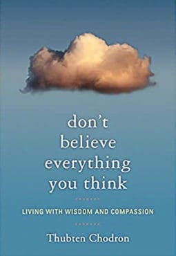 Book cover of Dont Believe Everything You Think