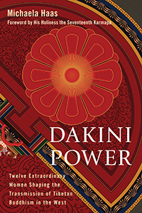 Cover of the book Dakini Power.