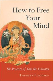 Cover of How to Free Your Mind.