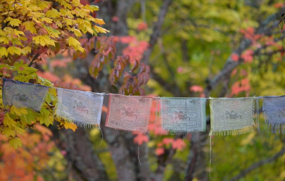 Prayer flags against autum leaves