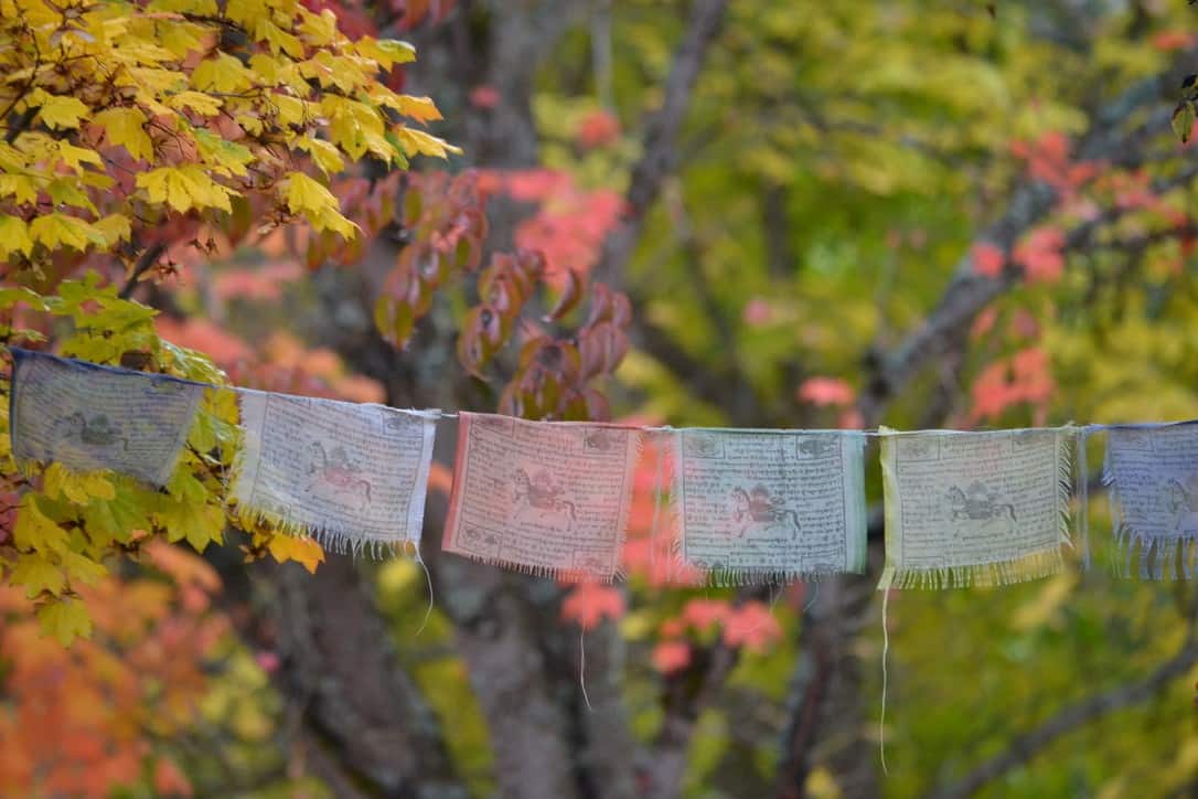 Prayer flags against autum leaves